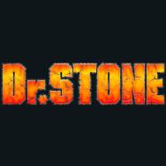 DR. STONE