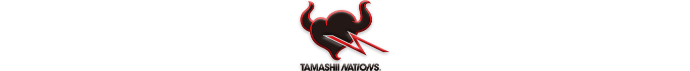 TAMASHII NATIONS - Ginga Toys