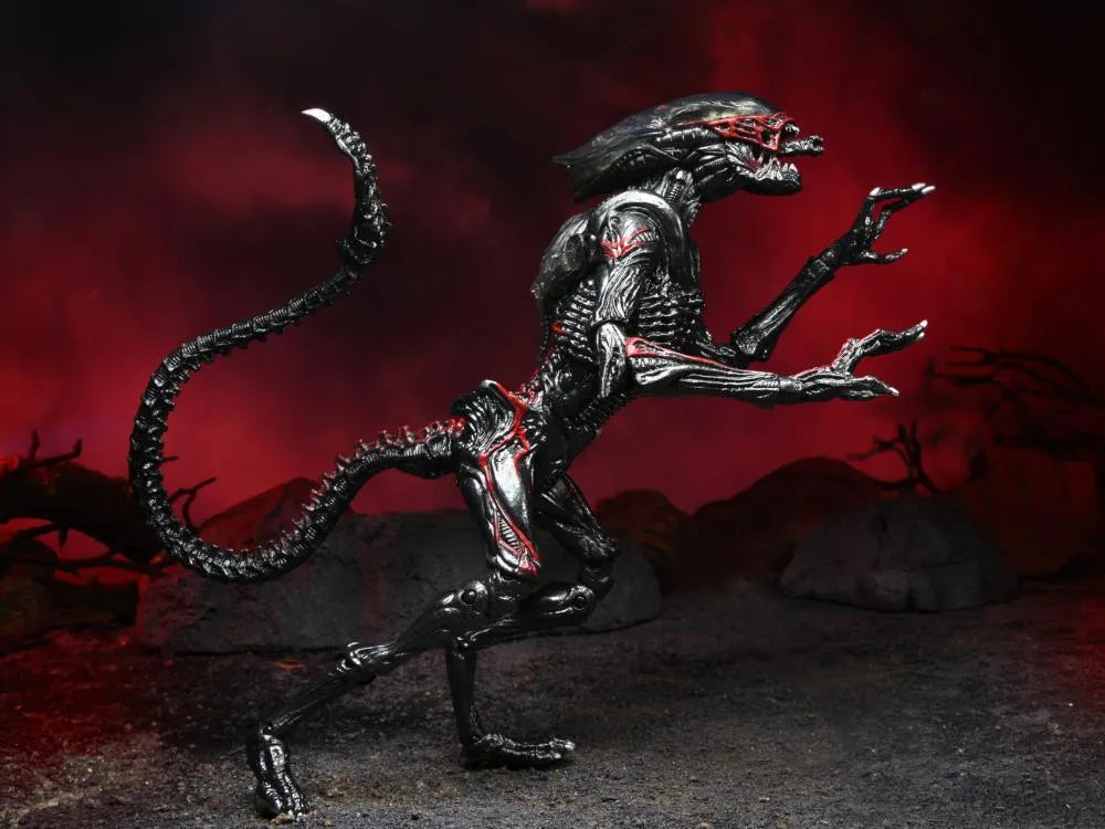 NECA Expanded Universe Alien