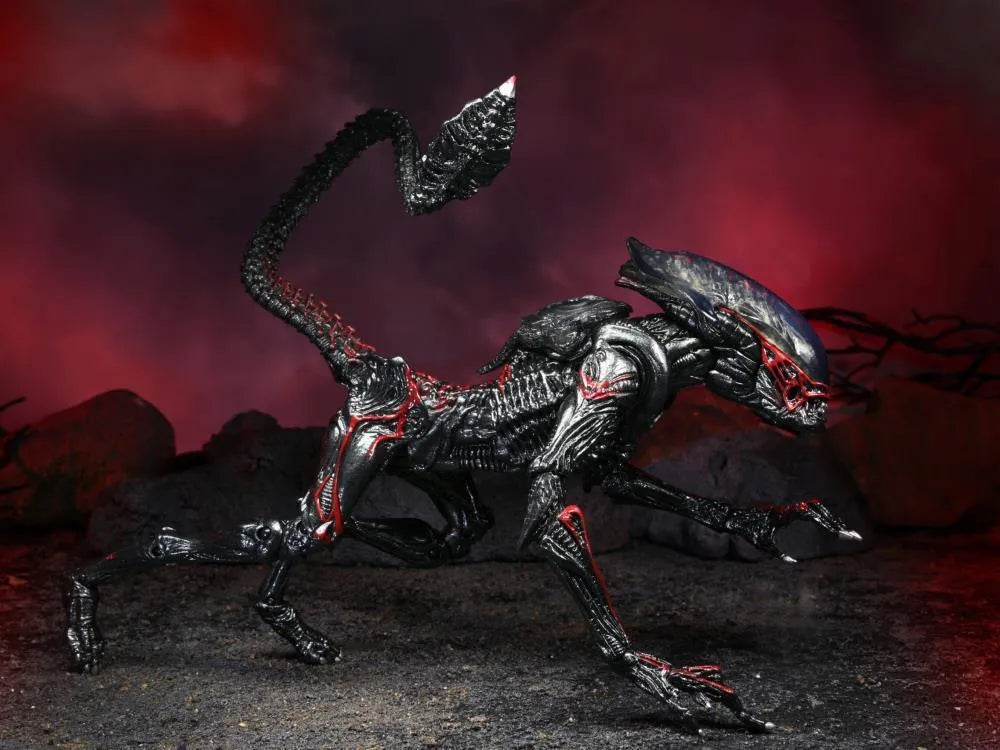 Night Cougar Alien Collectible