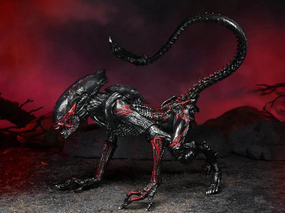 Aliens Kenner Tribute Night Cougar Alien Figure - Neca - Ginga Toys