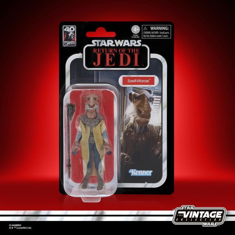 Star Wars: The Vintage Collection Saelt-Marae Figure (Return of the Jedi) - Hasbro - Ginga Toys